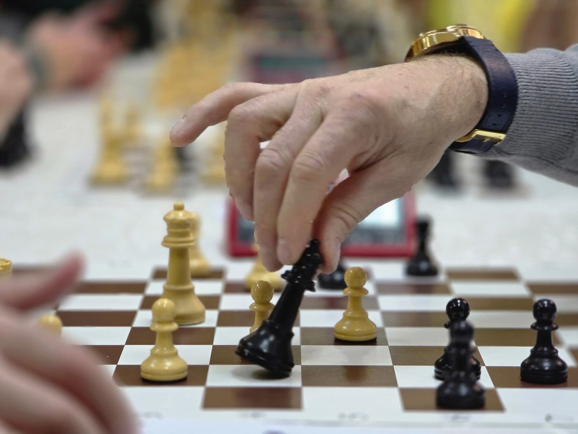 Sot në Preshevë u zhvillua me sukses turneu tradicional i shahut “Presheva OPEN” – me pjesëmarrje të gjerë dhe mbështetje institucionale